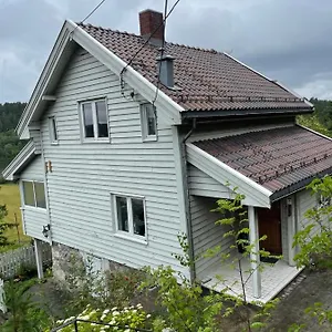 House, Daily Oslo